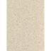 Corian Fossil
